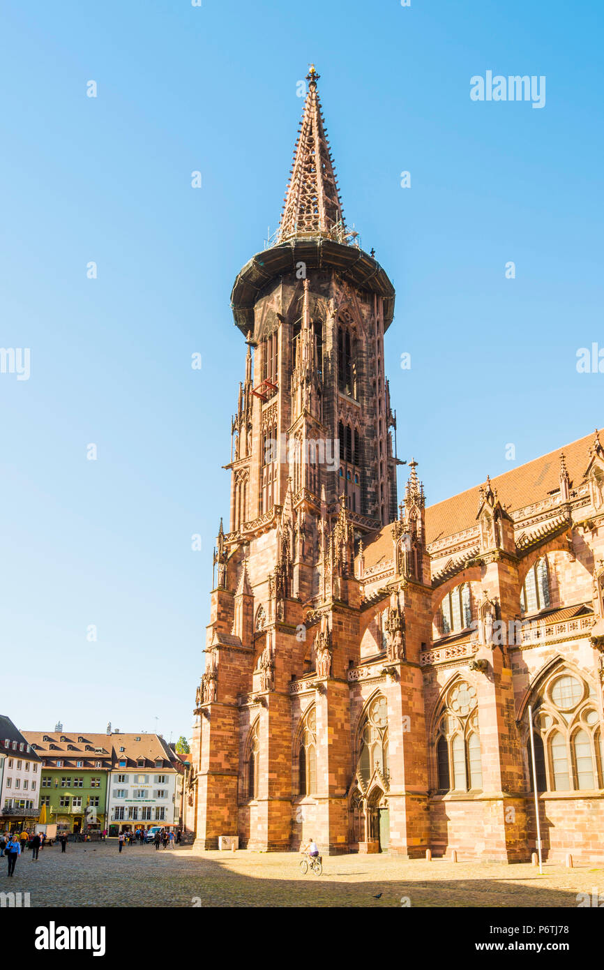 Freiburg im Breisgau, Regione di Friburgo, Foresta Nera (Schwarzwald), Baden-WÃ¼rttemberg, Germania. Foto Stock