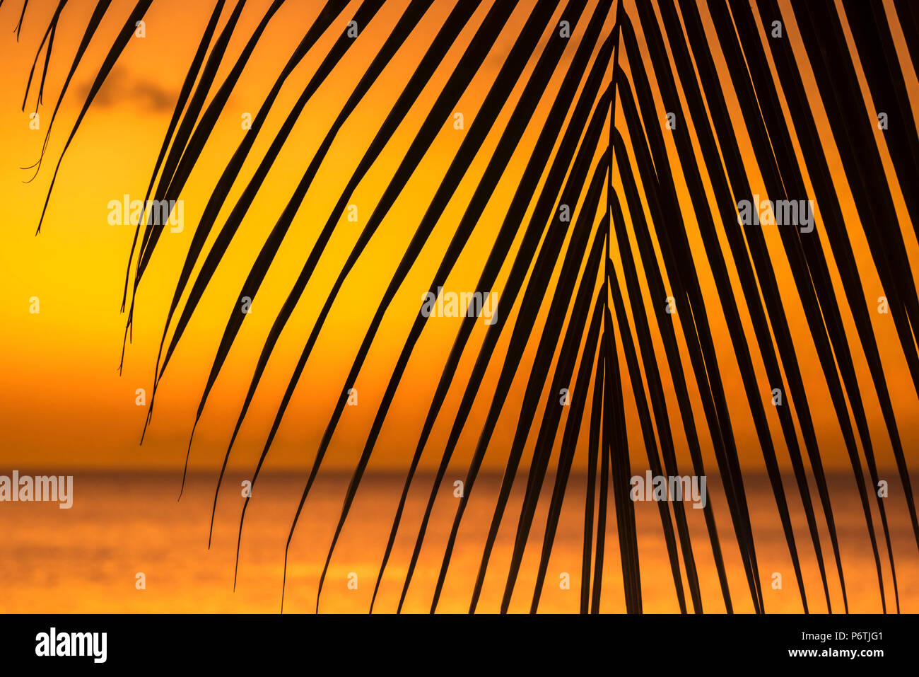 Caraibi, Grenada, Grand Anse Bay, Grand Anse Beach Foto Stock