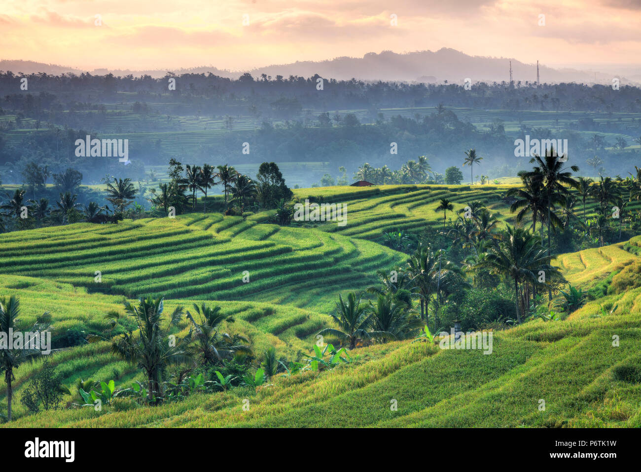 Indonesia, Bali, Jatiluwih terrazze di riso Foto Stock