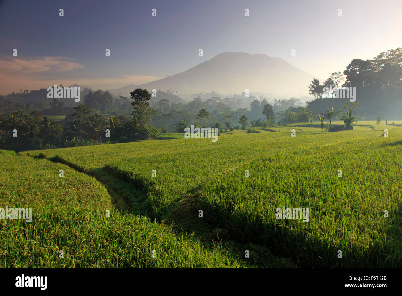 Indonesia, Bali, Sidemen, Iseh, campi di riso e Gunung Agung Vulcano Foto Stock