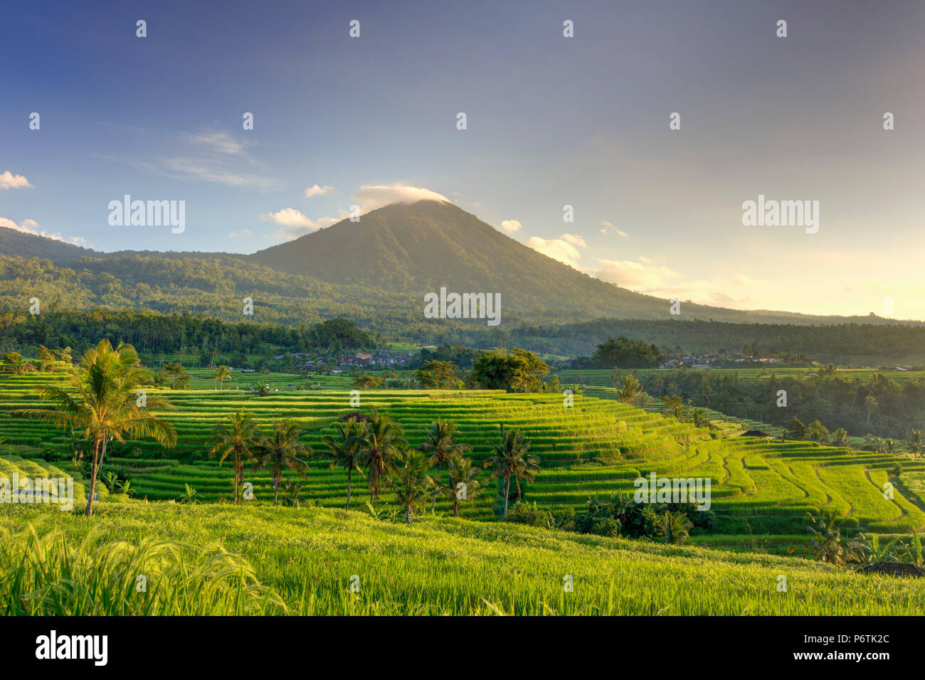 Indonesia, Bali, centrale Monti, Jatiluwih campi di riso (Sito UNESCO) con Mt. Pohen in background Foto Stock