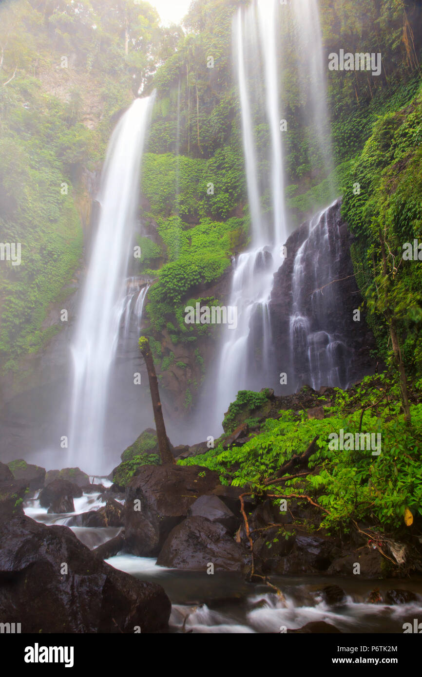 Indonesia, Bali, centrale Monti, Sekumpul cascata Foto Stock