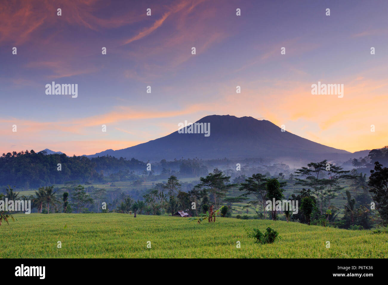 Indonesia, Bali, Sidemen Valley, Iseh, campi di riso e Gunung Agung Vulcano Foto Stock