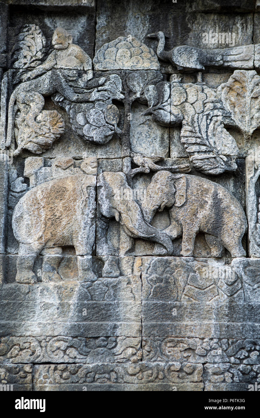 Asia, Indonesia, Java, Yogyakarta, Magelang, il Borobudur, o Barabudur, un 9th-secolo Mahayana tempio buddista e sito Patrimonio Mondiale dell'UNESCO, tempio fregio raffigurante una scena da uno della vita di Buddha Foto Stock