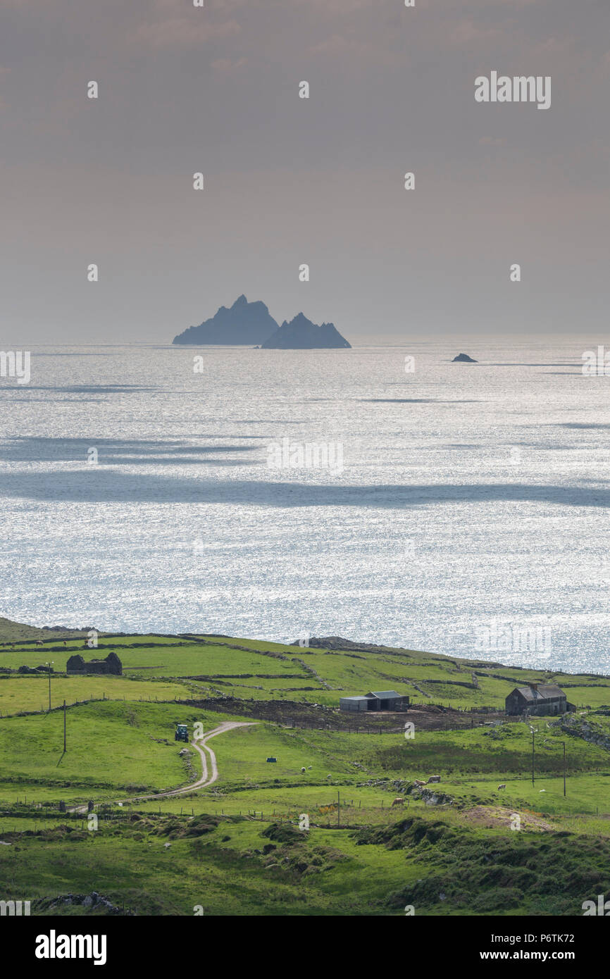 L'Irlanda, nella contea di Kerry, Ring of Kerry, il paesaggio costiero lungo la riva occidentale della penisola di Kerry Foto Stock