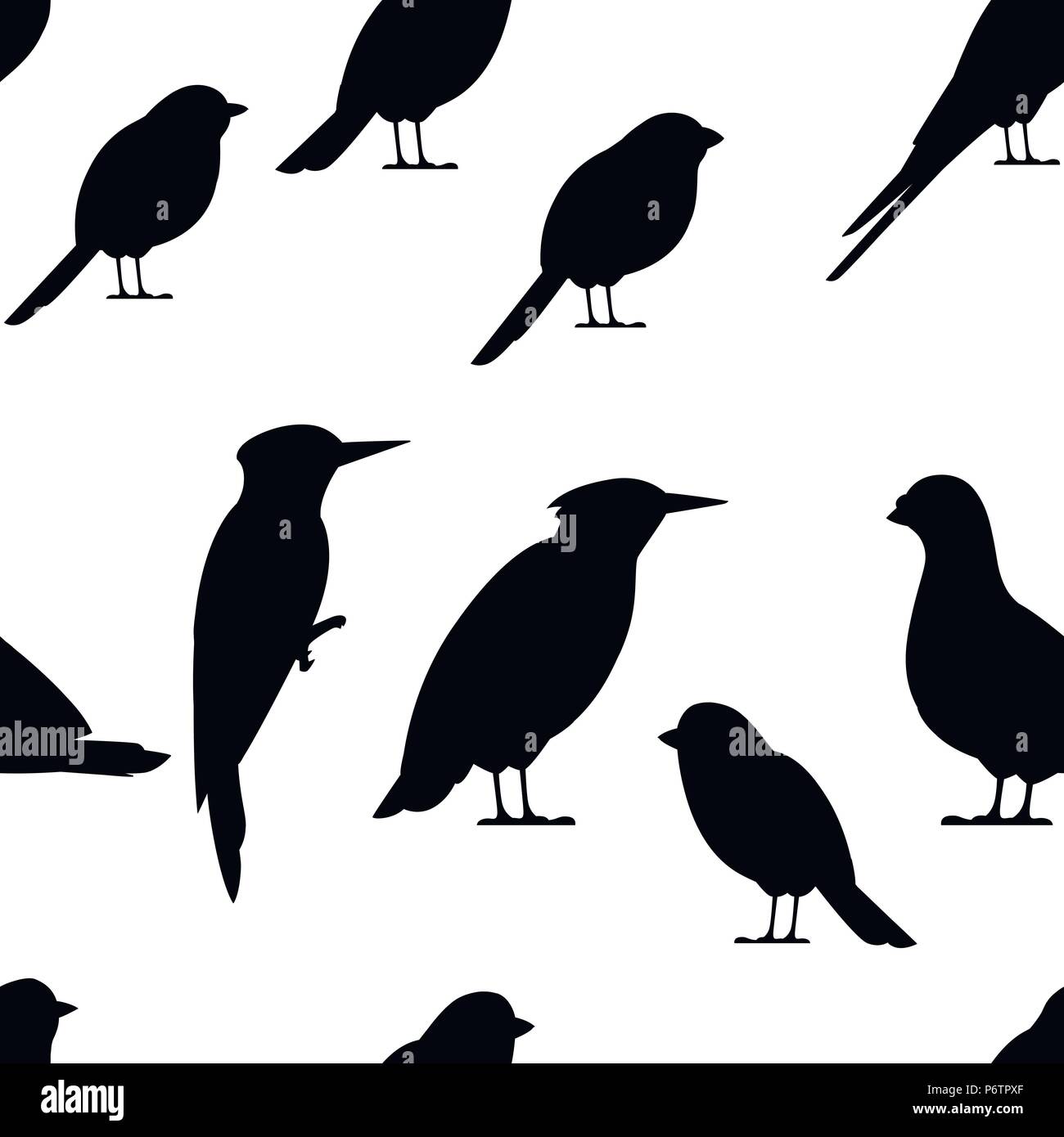Modello senza giunture. Bird silhouette nera. Pigeon, Sparrow, cincia, Swallow, picchio Starling, Bullfinch. Piatto icona degli uccelli. Illustrazione Vettoriale su Illustrazione Vettoriale
