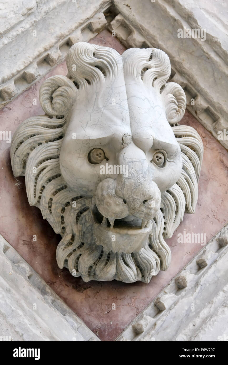 Dettagli in marmo scolpito di testa del leone sulla chiesa in Siena Foto Stock