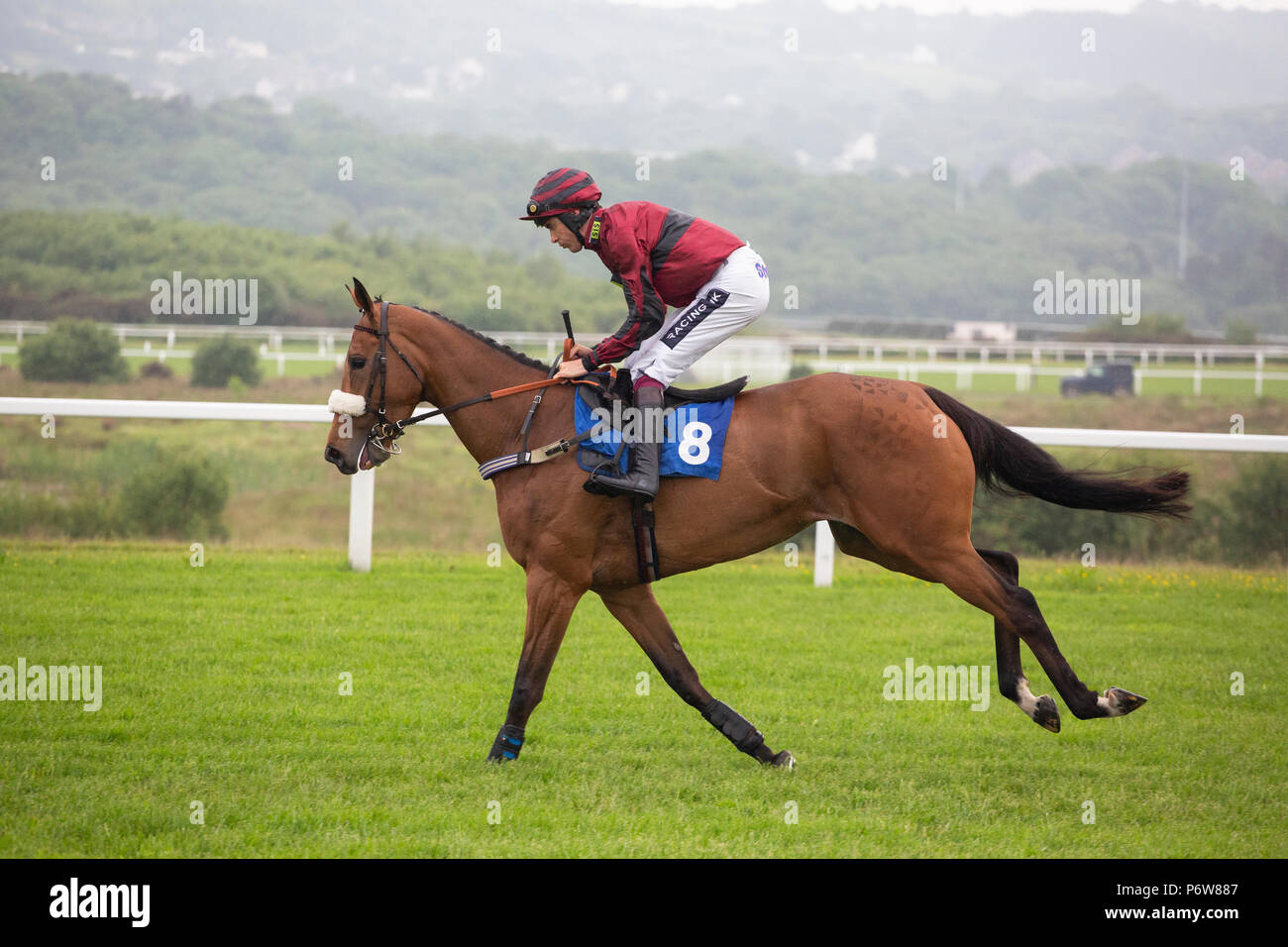 Delle corse ippiche Papagana cavalcato da fantino Aidan Coleman Foto Stock