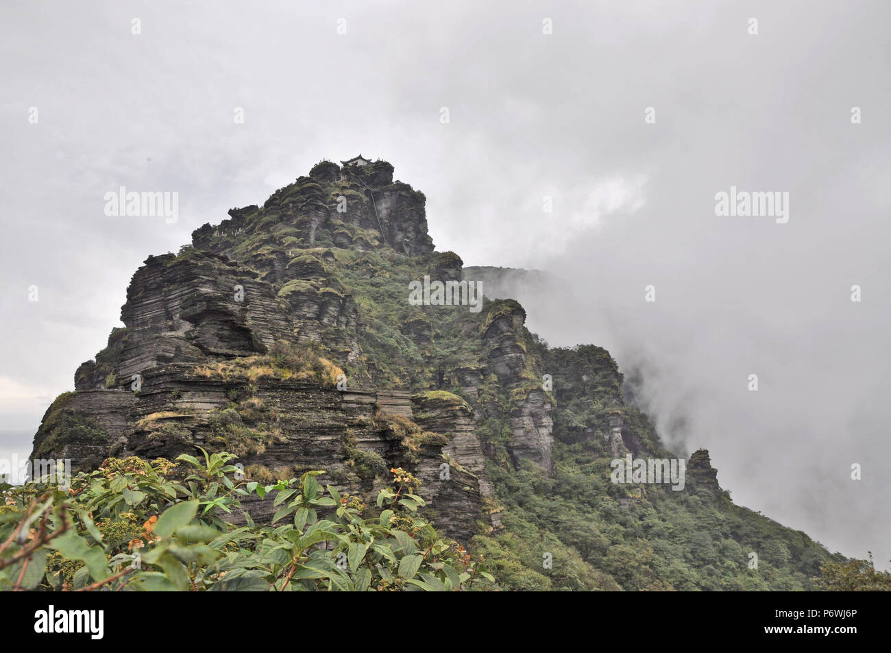 Tongren, Tongren, Cina. 3 Luglio, 2018. Tongren, Cina-Fanjing Mountain, situato in Tongren, a sud-ovest della Cina di Guizhou, è stato aggiunto a dell'UNESCO Patrimonio Naturale Mondiale lista alla 42a sessione del Comitato del Patrimonio Mondiale a Manama, Bahrain.Fanjing Mountain è la casa di un array di fauna selvatica. Attualmente, 31 le piante minacciate e 19 minacciato gli animali che vivono in questa area protetta. La Cina ha ora 53 siti iscritti nella Lista del Patrimonio Mondiale dell'UNESCO. Credito: SIPA Asia/ZUMA filo/Alamy Live News Foto Stock