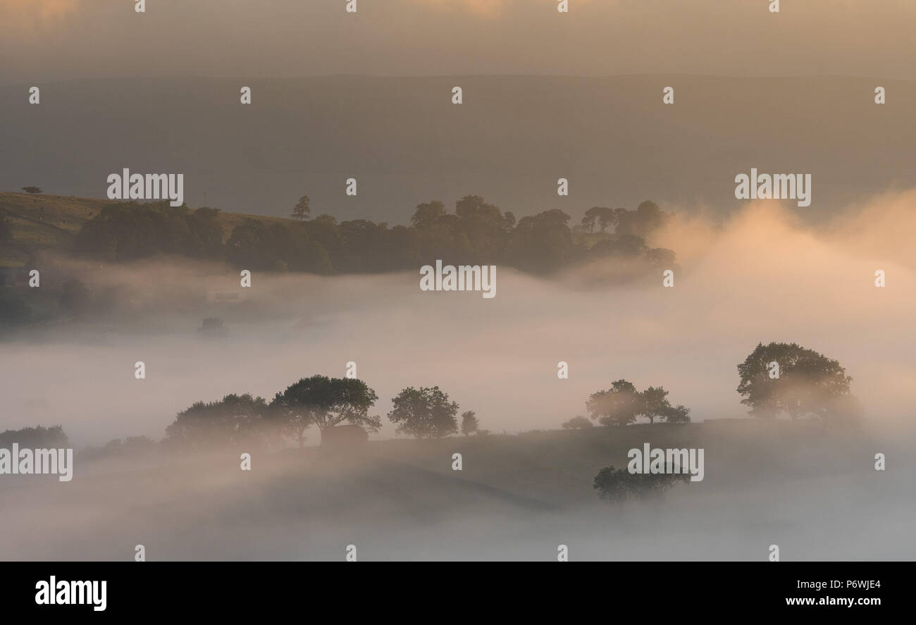 Yorkshire Dale, UK. 3 Luglio, 2018. Un altro giorno glorioso bekons dopo la precoce nebbia di mattina nel Yorkshire Dale Parco Nazionale intorno Semerwater, Wensleydale. Credito: Wayne HUTCHINSON/Alamy Live News Foto Stock
