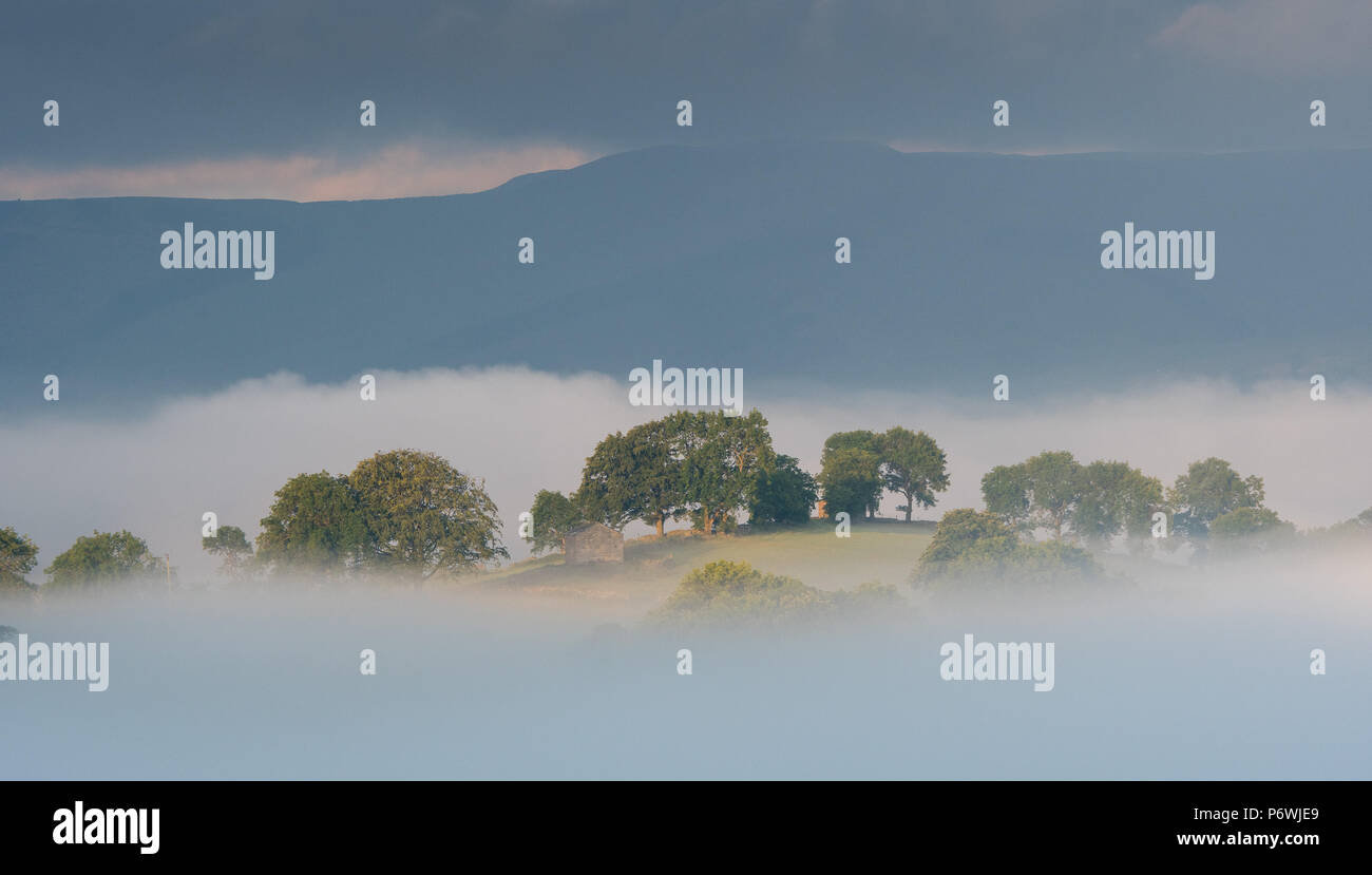 Yorkshire Dale, UK. 3 Luglio, 2018. Un altro giorno glorioso bekons dopo la precoce nebbia di mattina nel Yorkshire Dale Parco Nazionale intorno Semerwater, Wensleydale. Credito: Wayne HUTCHINSON/Alamy Live News Foto Stock