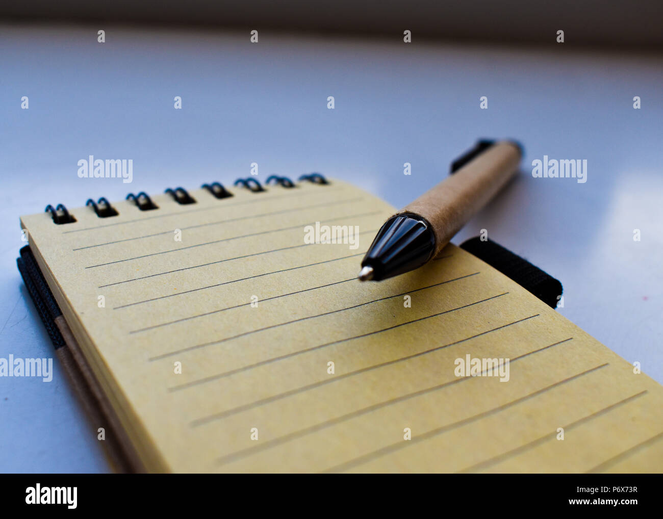 Penna su un piccolo notebook. Foto Stock