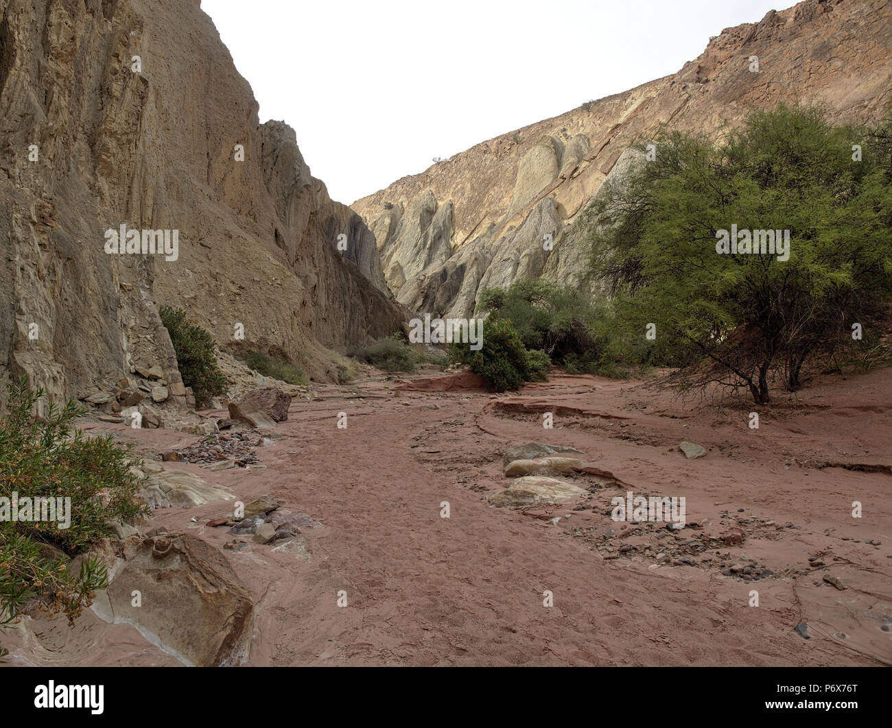 Rainbow Canyon in Talampaya National Park, situato a La Rioja Provincia, Argentina. Questo parco è stato designato come un Sito Patrimonio Mondiale dell'UNESCO nel 2000. Foto Stock