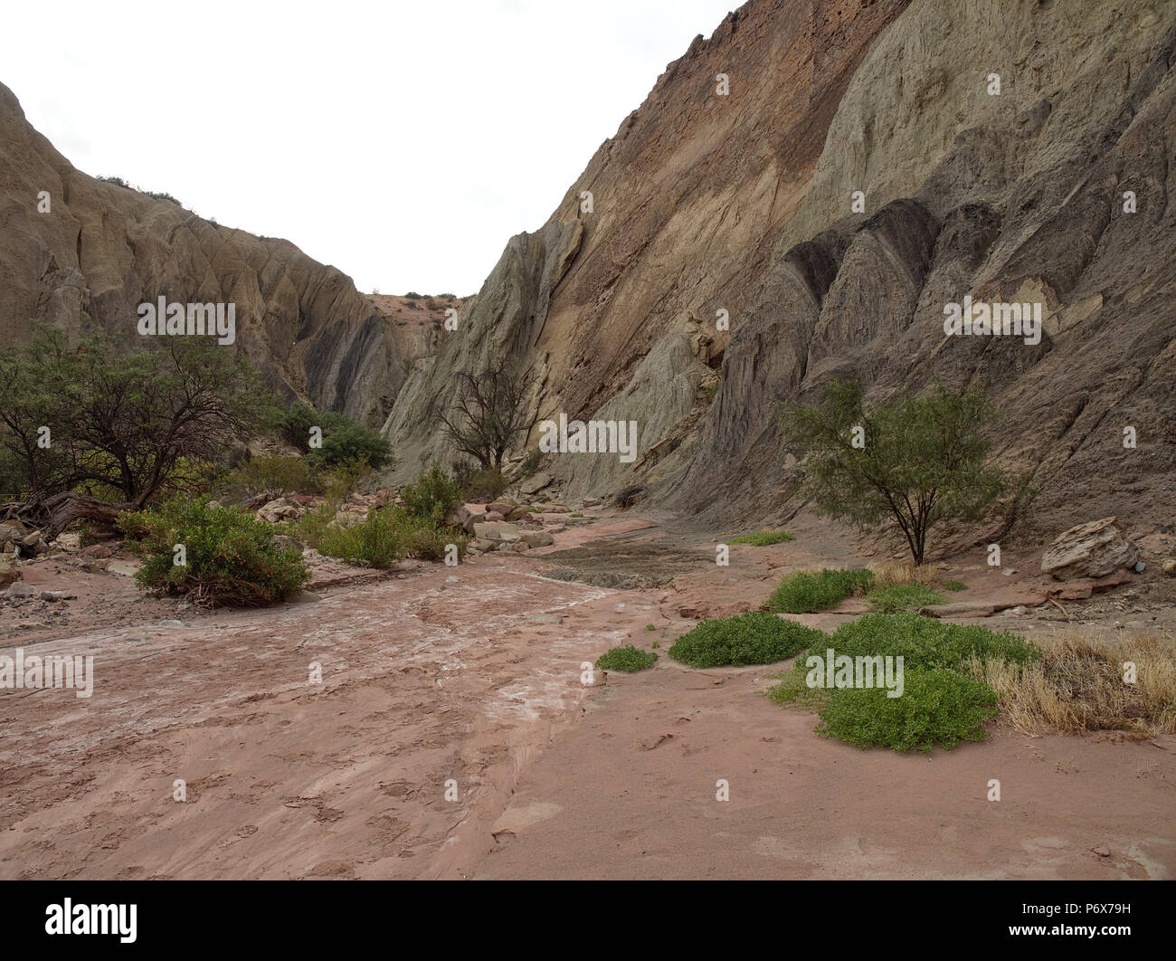 Rainbow Canyon in Talampaya National Park, situato a La Rioja Provincia, Argentina. Questo parco è stato designato come un Sito Patrimonio Mondiale dell'UNESCO nel 2000. Foto Stock