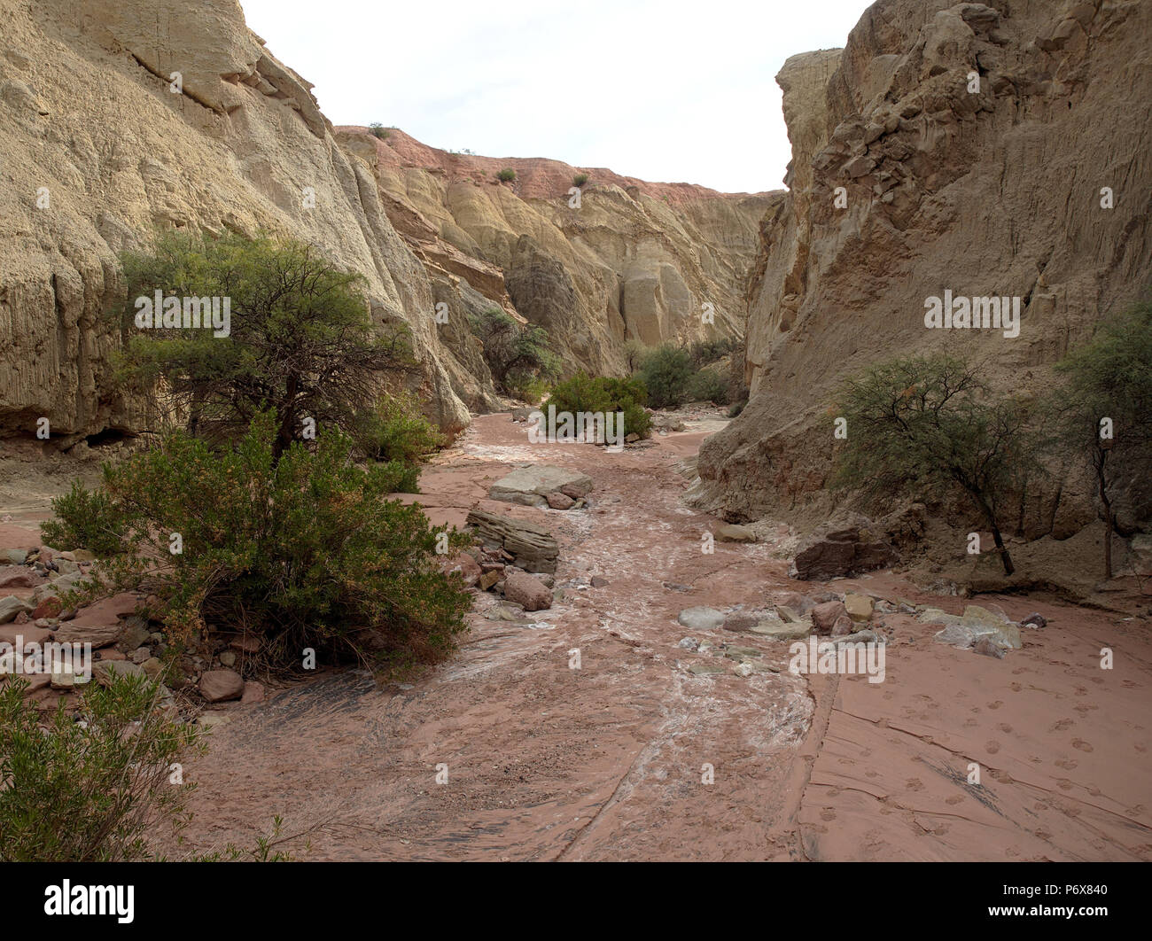 Rainbow Canyon in Talampaya National Park, situato a La Rioja Provincia, Argentina. Questo parco è stato designato come un Sito Patrimonio Mondiale dell'UNESCO nel 2000. Foto Stock