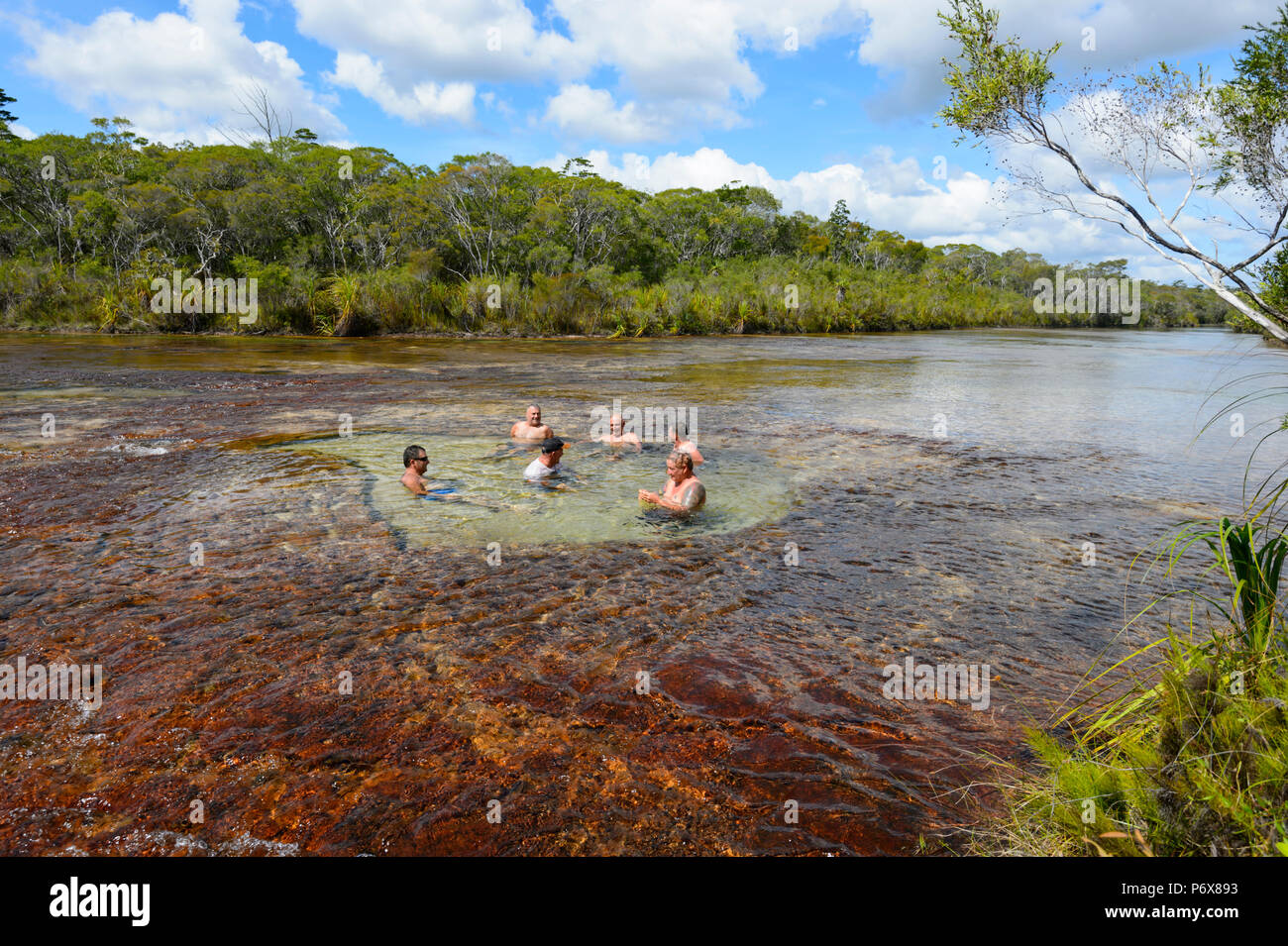 I turisti il nuoto alla pittoresca frutta Bat cade, una popolazione destinazione nel Cape York Peninsula, estremo Nord Queensland, FNQ, QLD, Australia Foto Stock