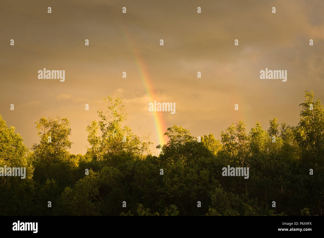 Bellissimo arcobaleno nel tramonto, Lettonia Foto Stock