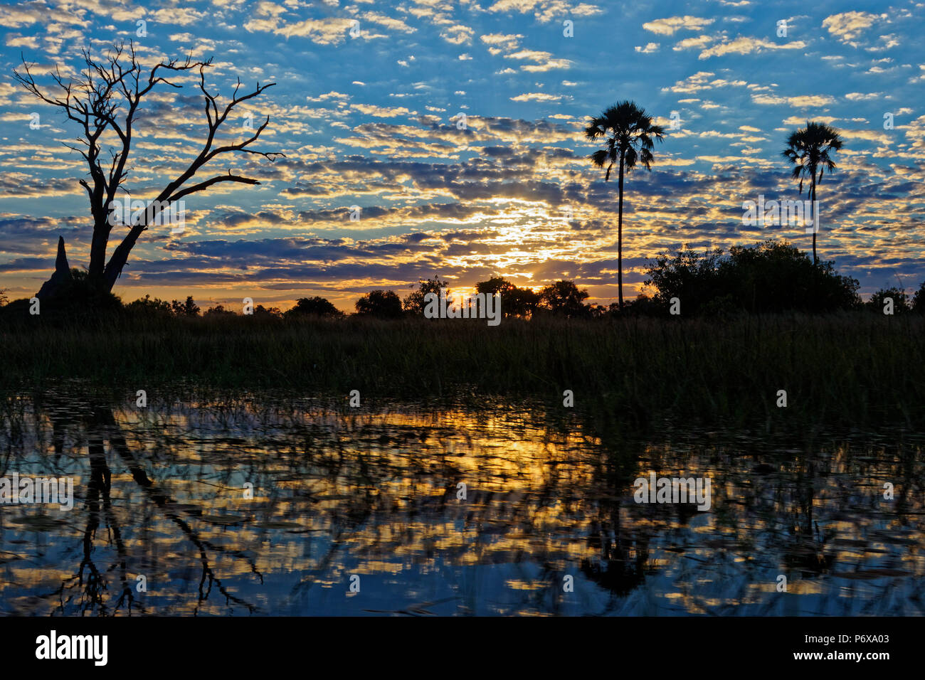 Sunrise in Okavango Delta, Botswana Foto Stock
