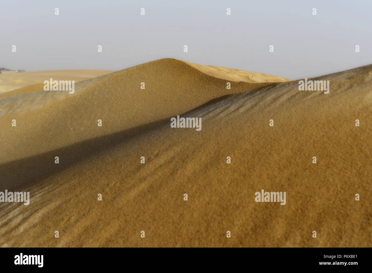 Le dune di sabbia nel deserto di Arabia Saudita. Nessun uomo, nessuna vita solo sabbia ogni dove e solo sabbia e il cielo in background Foto Stock