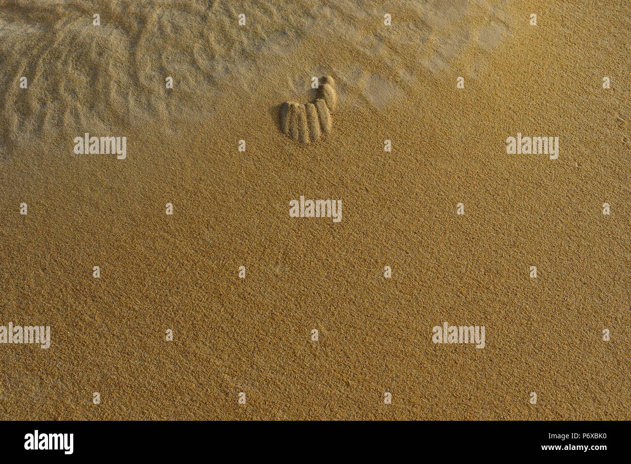 Le dune di sabbia nel deserto di Arabia Saudita. Nessun uomo, nessuna vita solo sabbia ogni dove e solo sabbia e il cielo in background Foto Stock