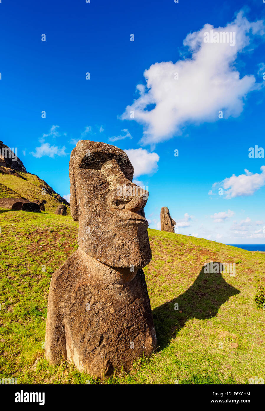 Moai alla cava sul versante del Rano Raraku Vulcano, Parco Nazionale di Rapa Nui, Isola di Pasqua, Cile Foto Stock