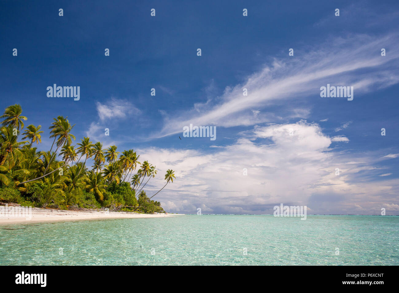 Isole di Cook, atollo di Aitutaki, isola tropicale e la spiaggia Foto Stock