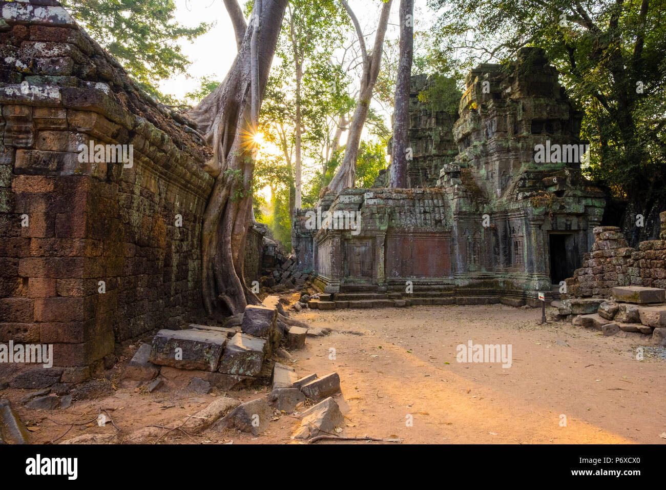 Ta Prohm temple (Rajavihara), Angkor, Sito Patrimonio Mondiale dell'UNESCO, Siem Reap Provincia, Cambogia Foto Stock