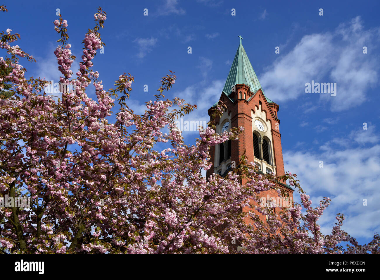 Kirche Maria Meeresstern, Werder, Havel, Brandeburgo, Deutschland Foto Stock