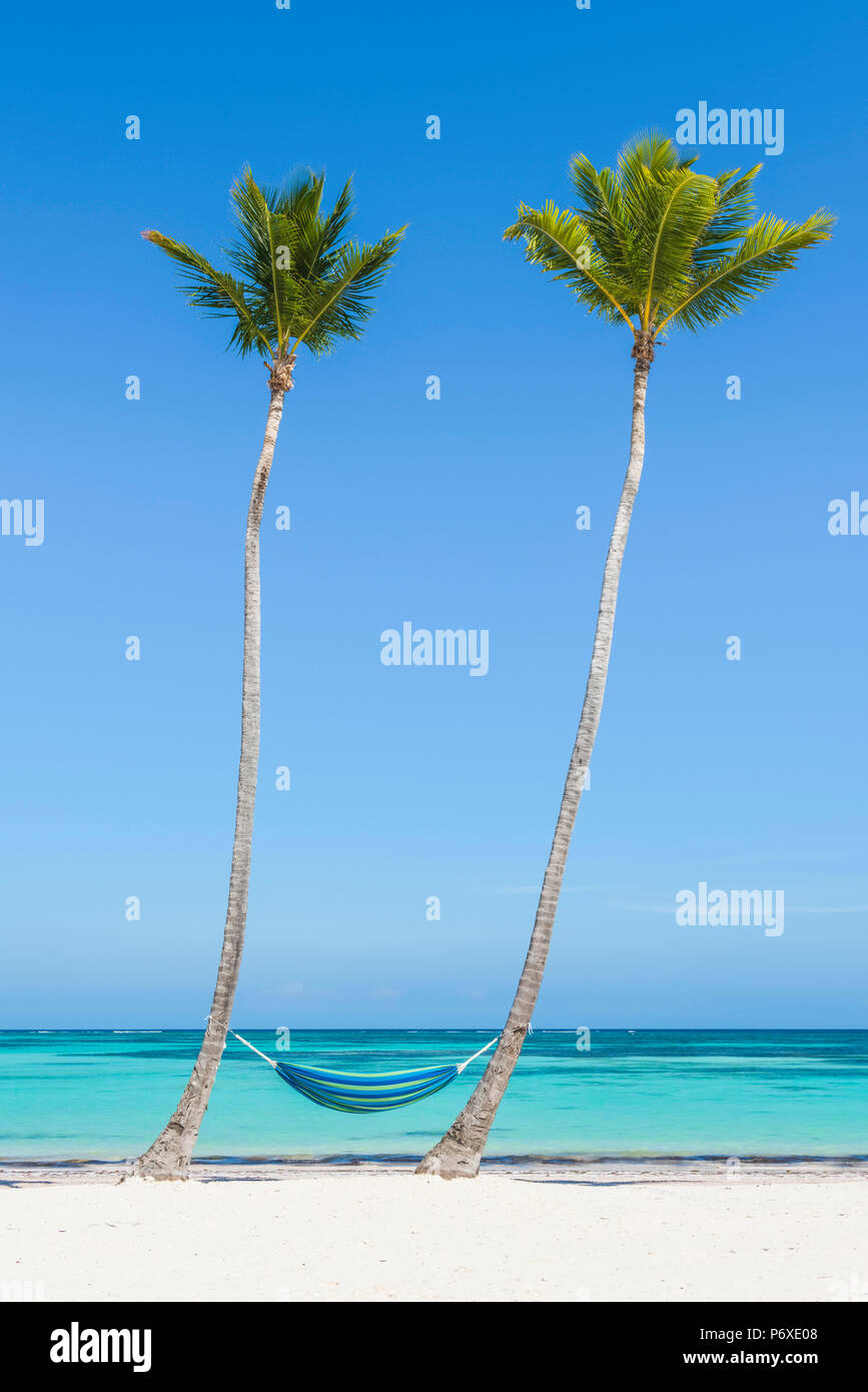 Spiaggia Juanillo (playa Juanillo), Punta Cana, Repubblica Dominicana. Amaca vuota su una spiaggia orlata di palme. Foto Stock