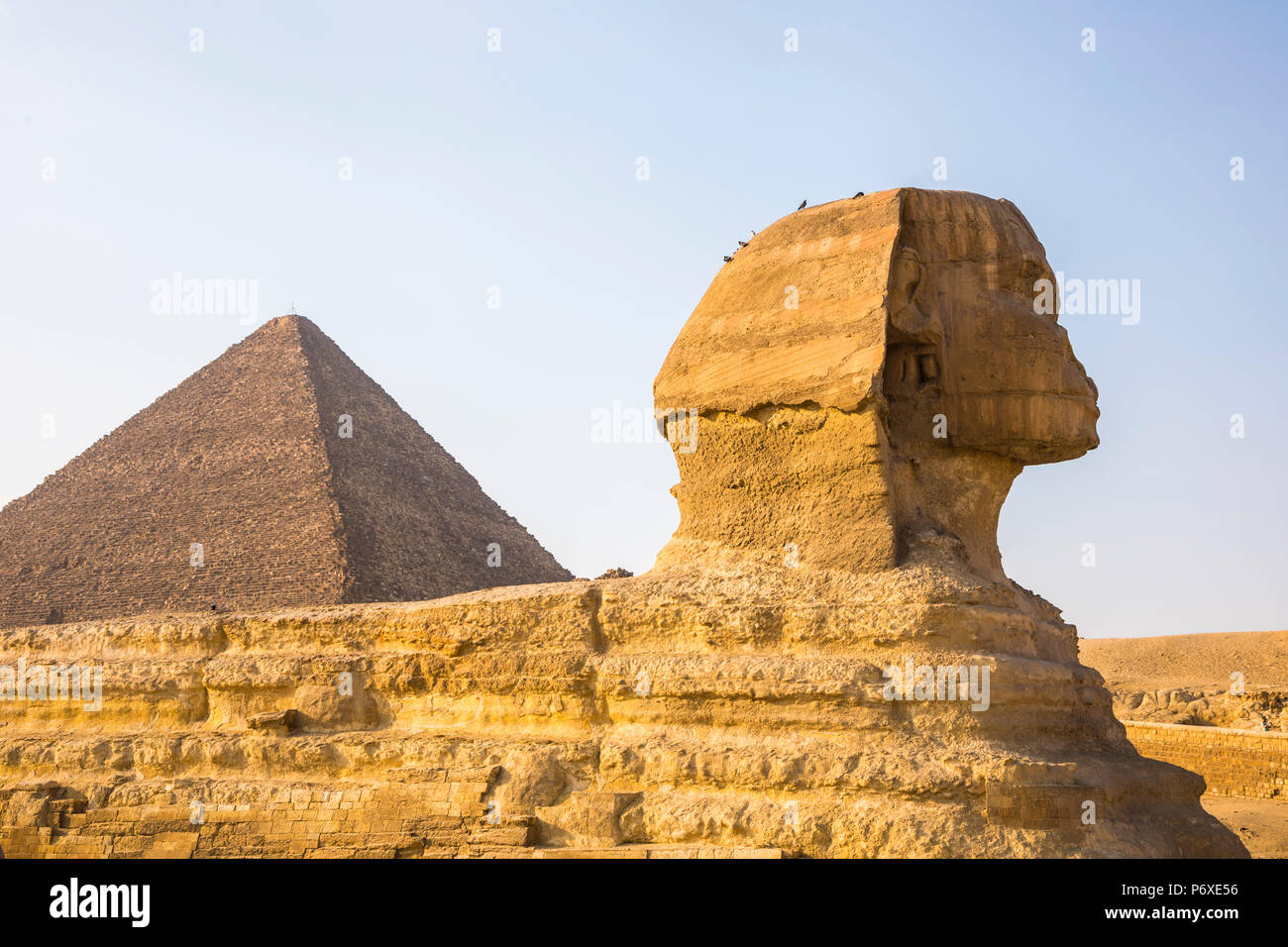 Piramide di Cheope e la Sfinge Giza, il Cairo, Egitto Foto Stock