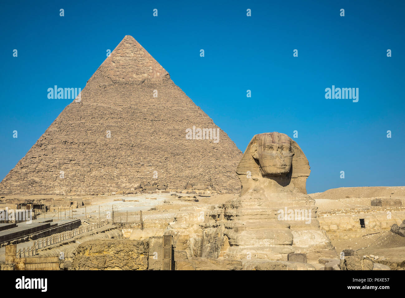 Piramide di Khafre (Chephren) e la Sfinge Giza, il Cairo, Egitto Foto Stock