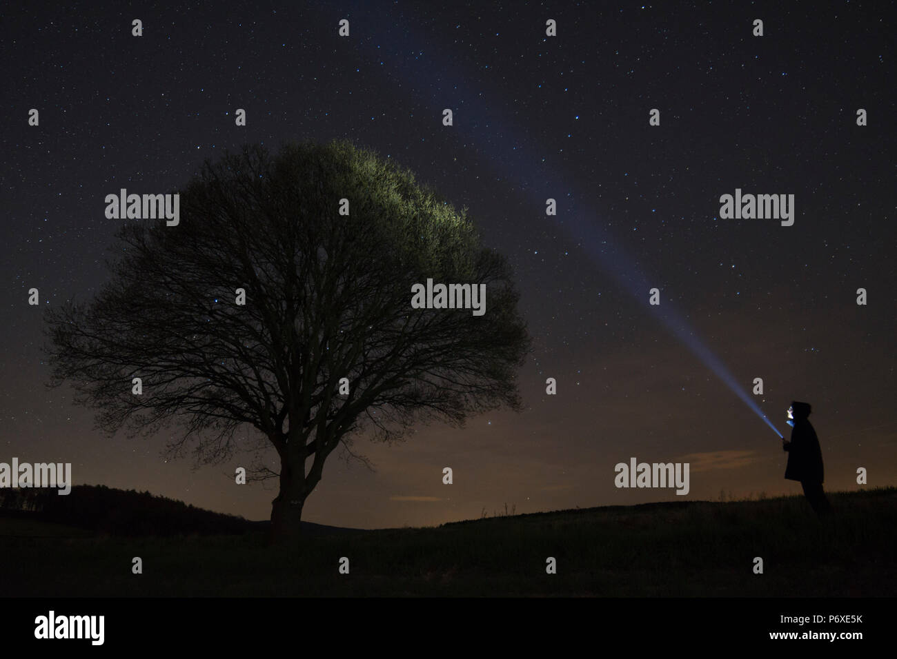 Il fulmine il cielo, ad est, Muenden, Bassa Sassonia, Germania Quercus spec. Foto Stock