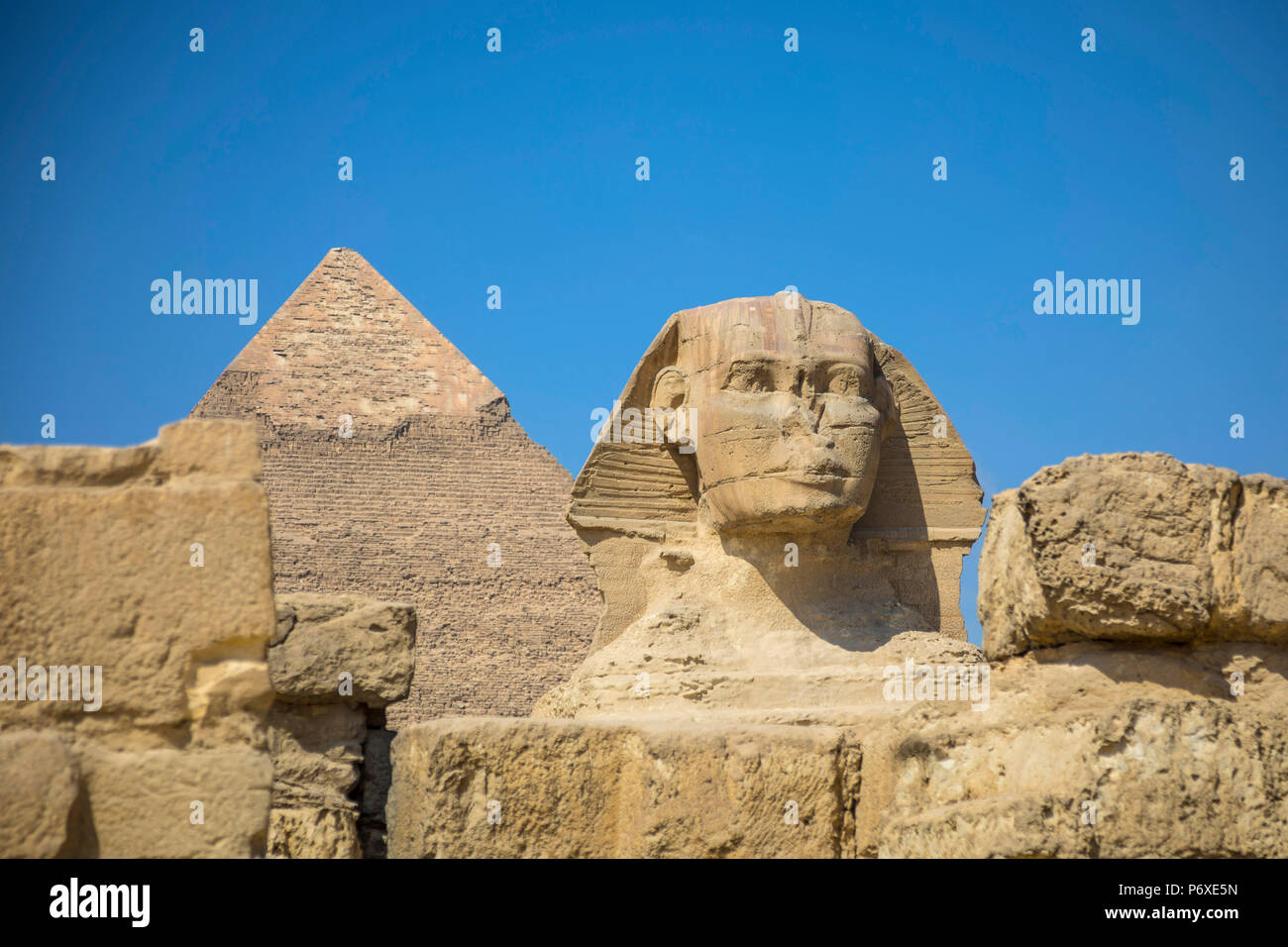 La sfinge e la piramide di Khafre (Chephren), Piramidi di Giza, Giza, il Cairo, Egitto Foto Stock