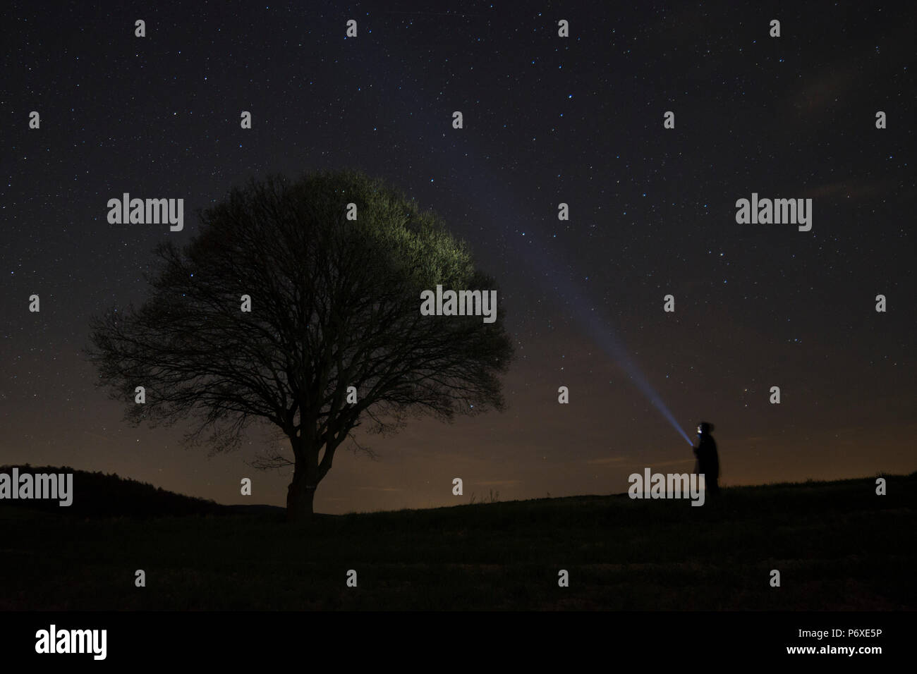 Il fulmine il cielo, ad est, Muenden, Bassa Sassonia, Germania Quercus spec. Foto Stock