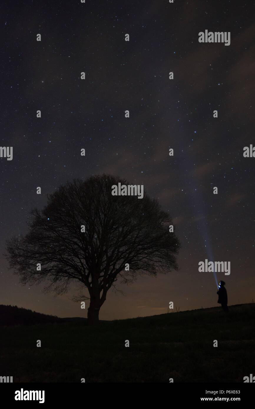 Il fulmine il cielo, ad est, Muenden, Bassa Sassonia, Germania Quercus spec. Foto Stock