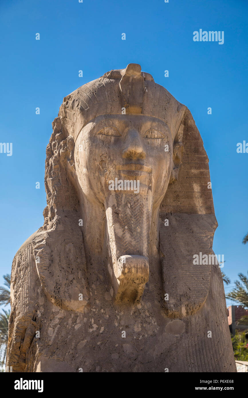Sfinge a Memphis (capitale dell antico Egitto), Nr. Il Cairo, Egitto Foto Stock