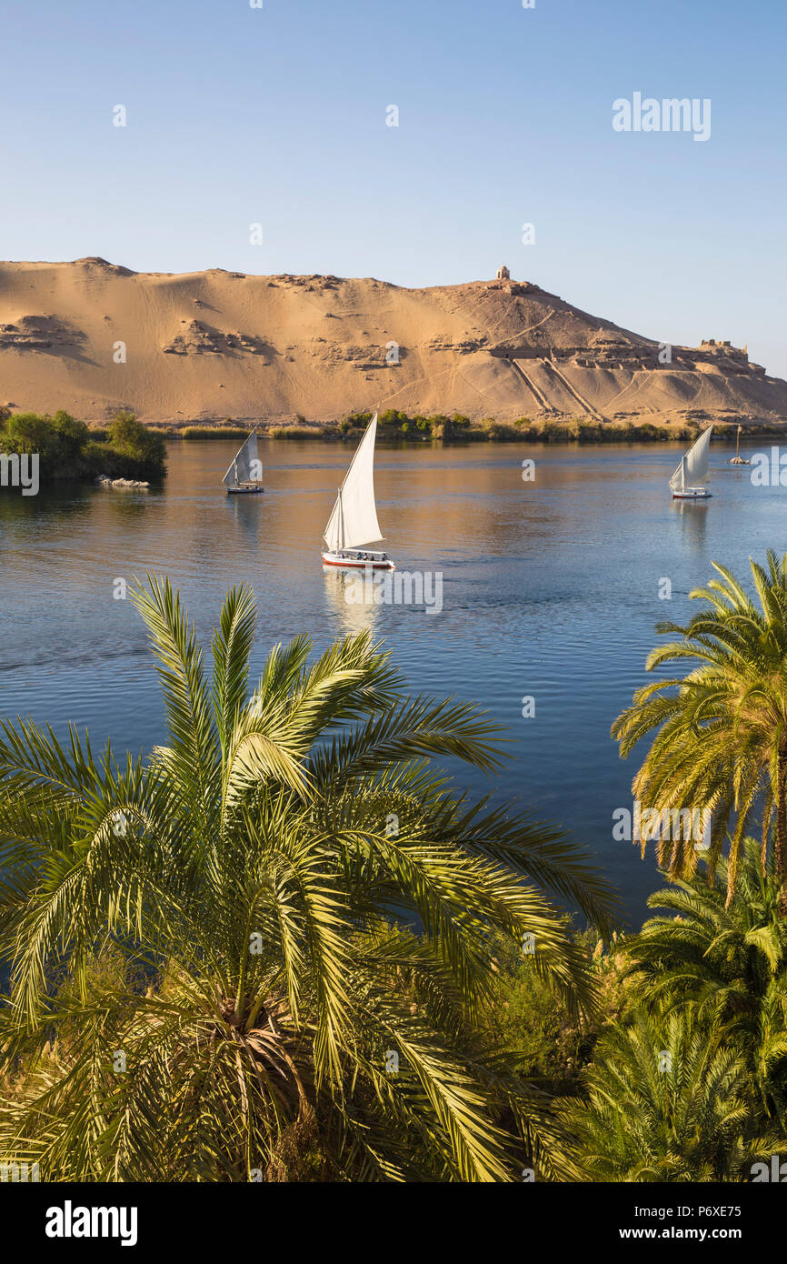 Egitto Alto Egitto, Aswan, Isola Elefantina, vista del fiume Nilo e tombe dei nobili sulla sponda ovest dai giardini del Movenpick Resort Foto Stock