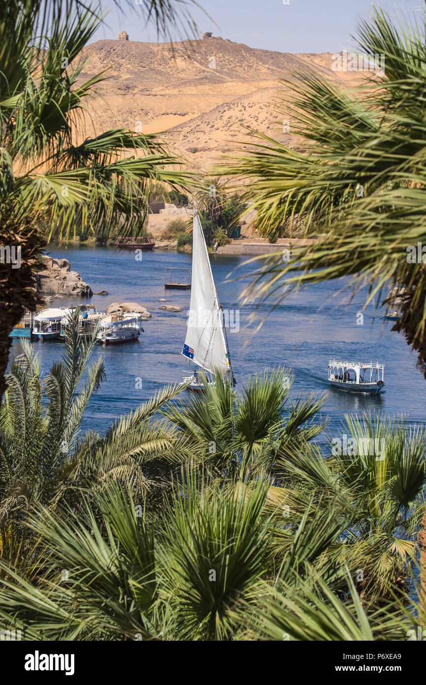 Egitto Alto Egitto, Aswan, Giardini di Old Cataract Hotel Foto Stock