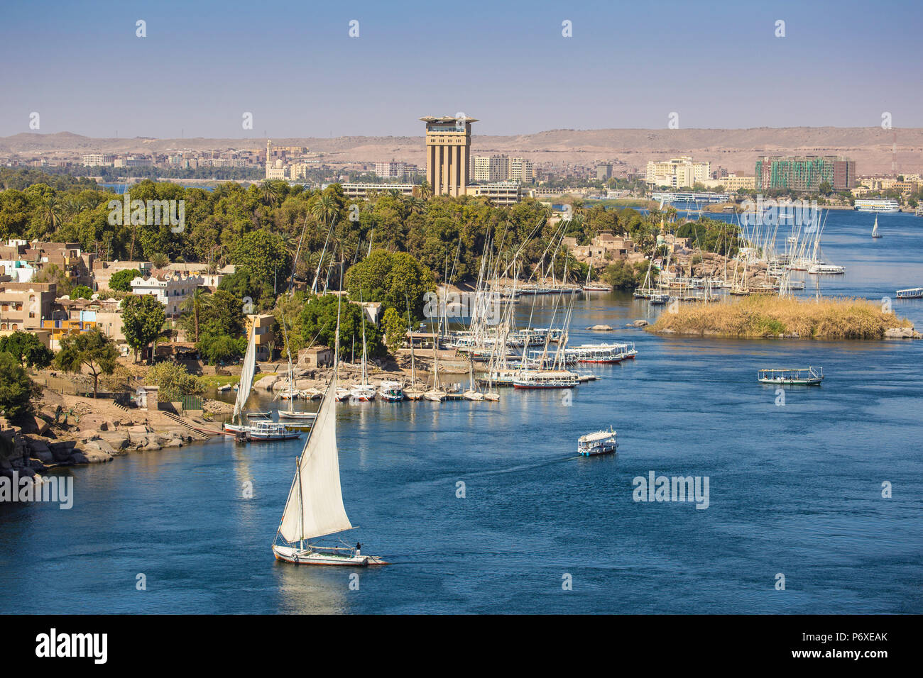 Egitto Alto Egitto, Aswan, vista del Movenpick Resort e sul fiume Nilo Foto Stock