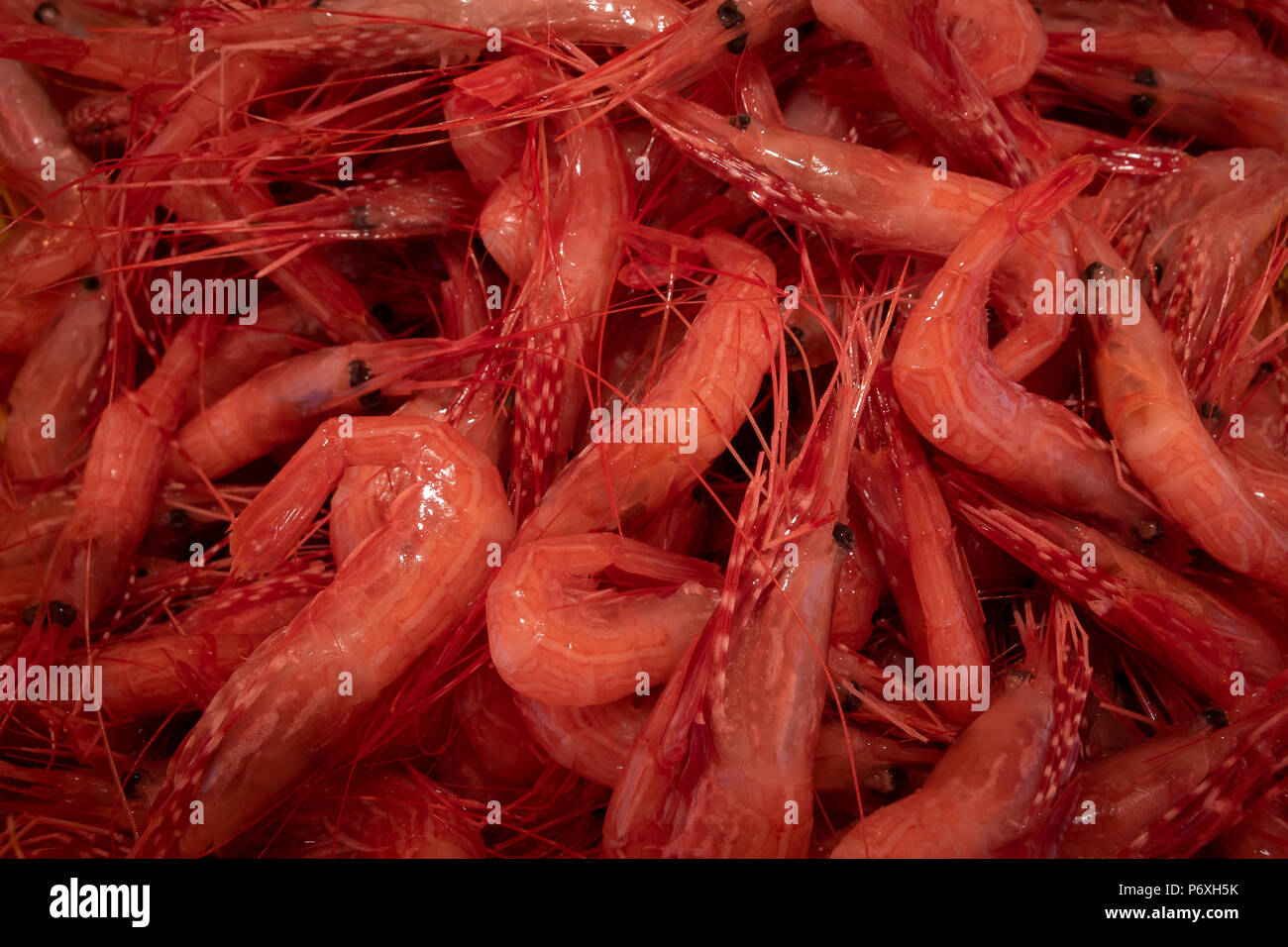 Raw, gamberi freschi in un mercato del pesce Foto Stock