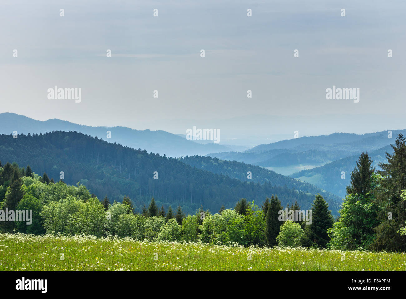 Germania, vista montagna da Lindenberg nella incontaminata foresta nera escursionismo natura paesaggio Foto Stock