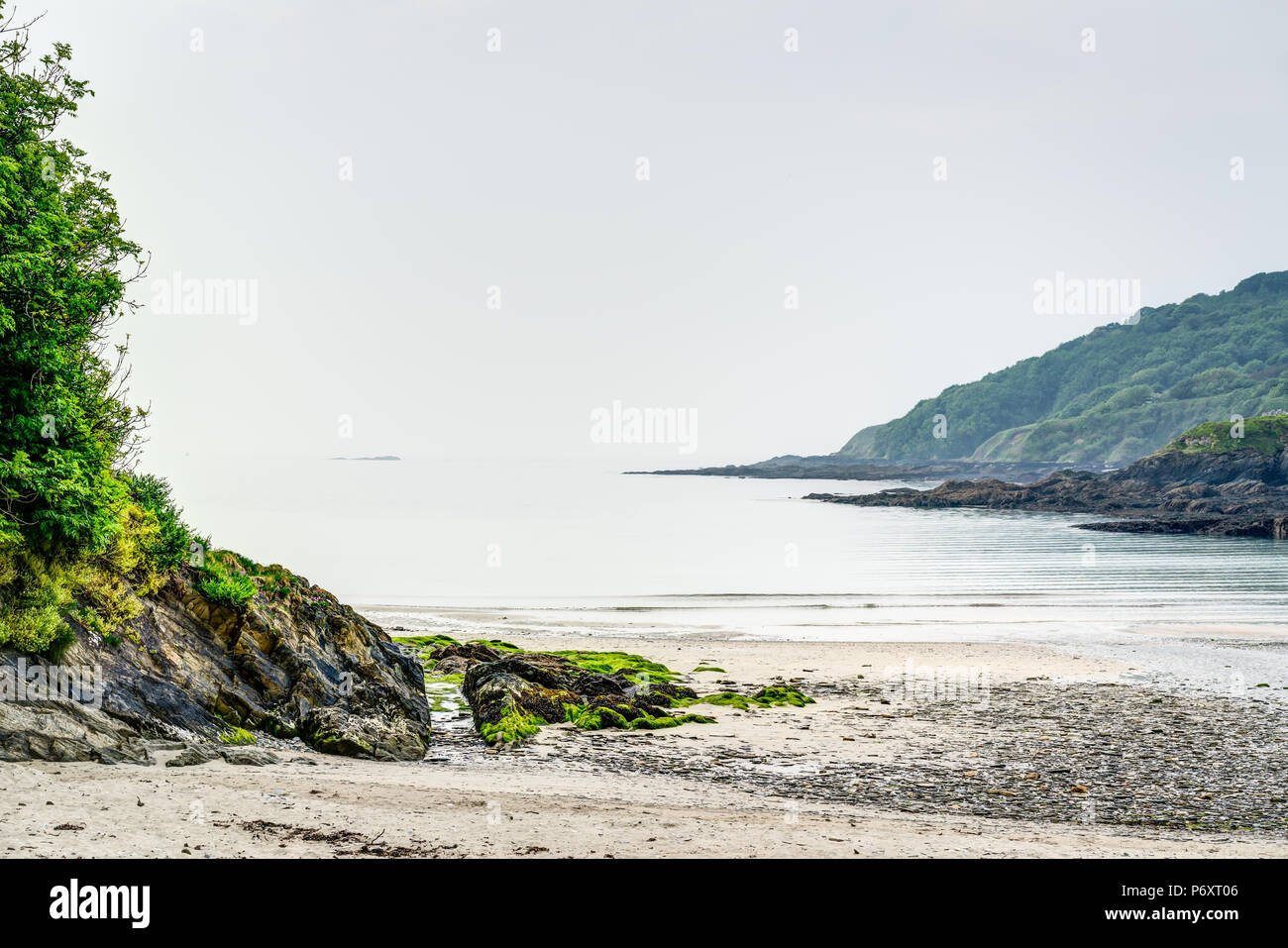 Questa è la spiaggia Polridmouth da Fowey, Cornwall, Inghilterra fotografato con un inizio di mattina nebbia e un mare calmo che mostra segni di essere un caldo giorno umido. Foto Stock