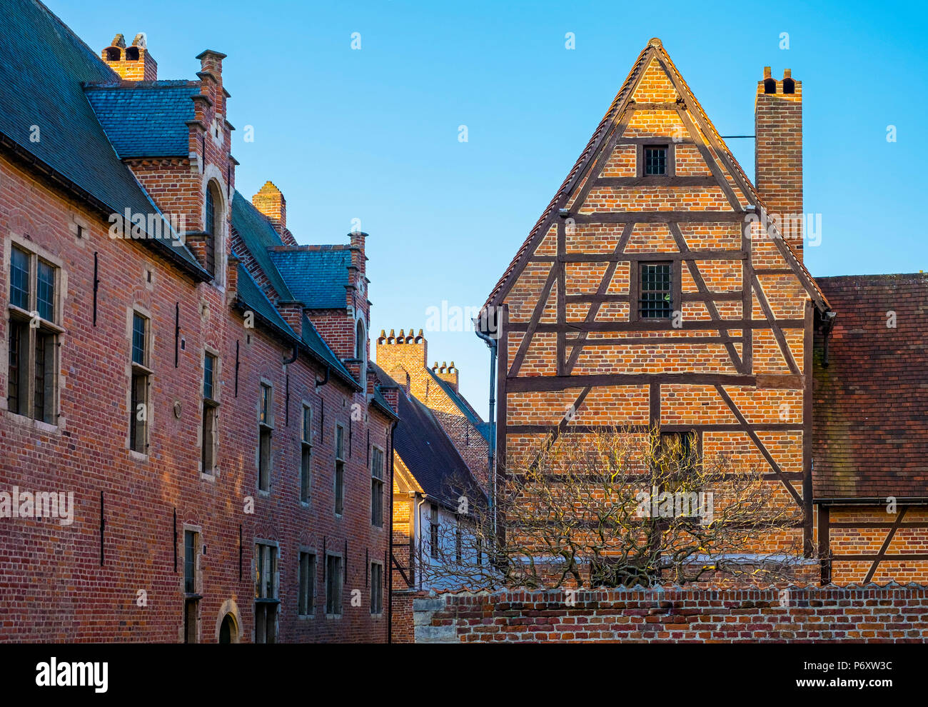 Groot Begijnhof (Grand BÀ©guinage), Leuven, Brabante Fiammingo, Fiandre, in Belgio Foto Stock