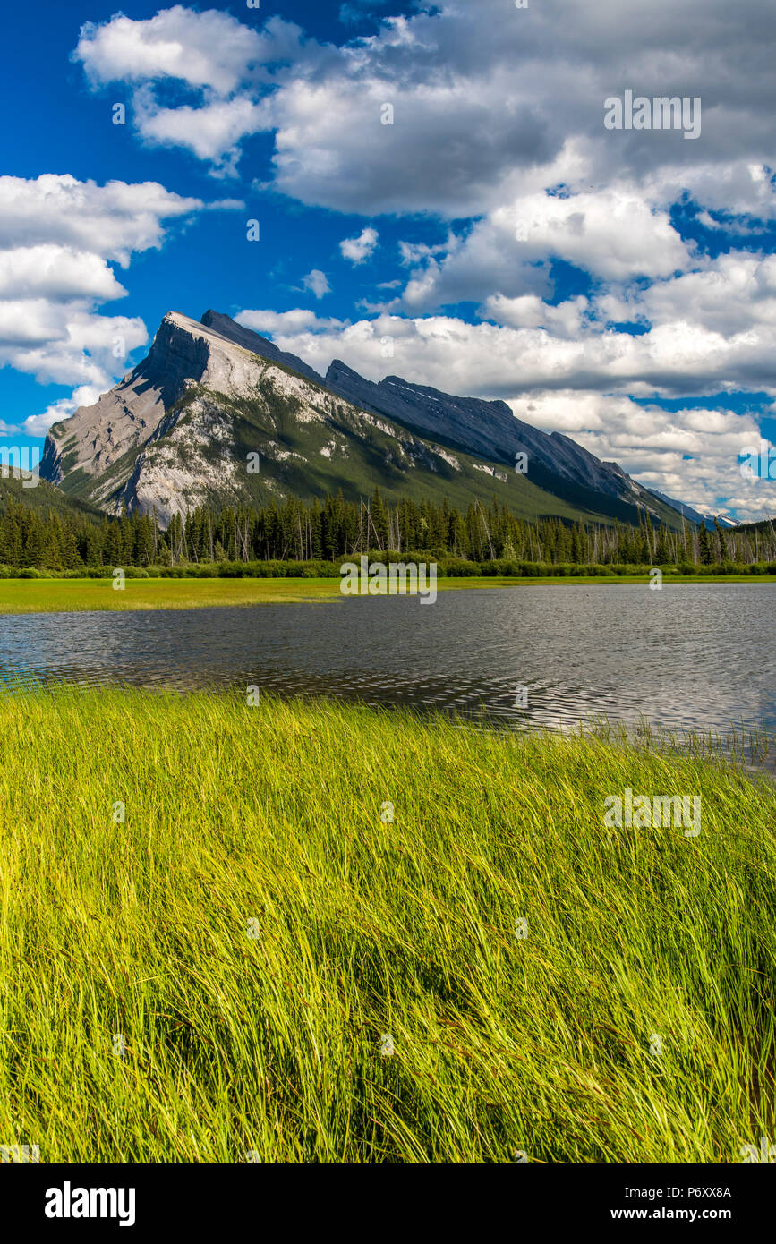 Mount Rundle e vermiglio laghi, il Parco Nazionale di Banff, Alberta, Canada Foto Stock