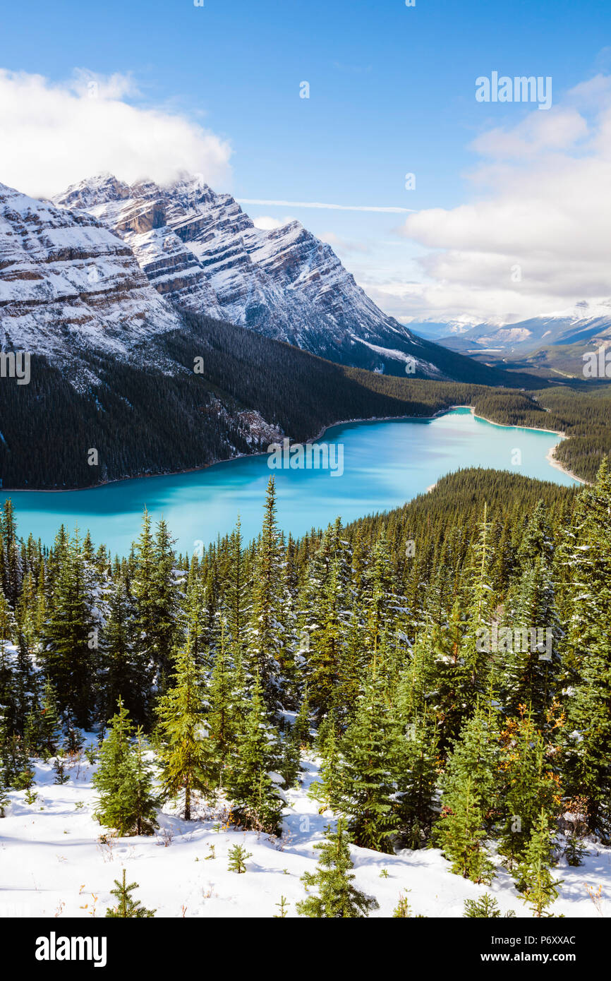 Il Lago Peyto in autunno, il Parco Nazionale di Banff, Alberta, Canada Foto Stock