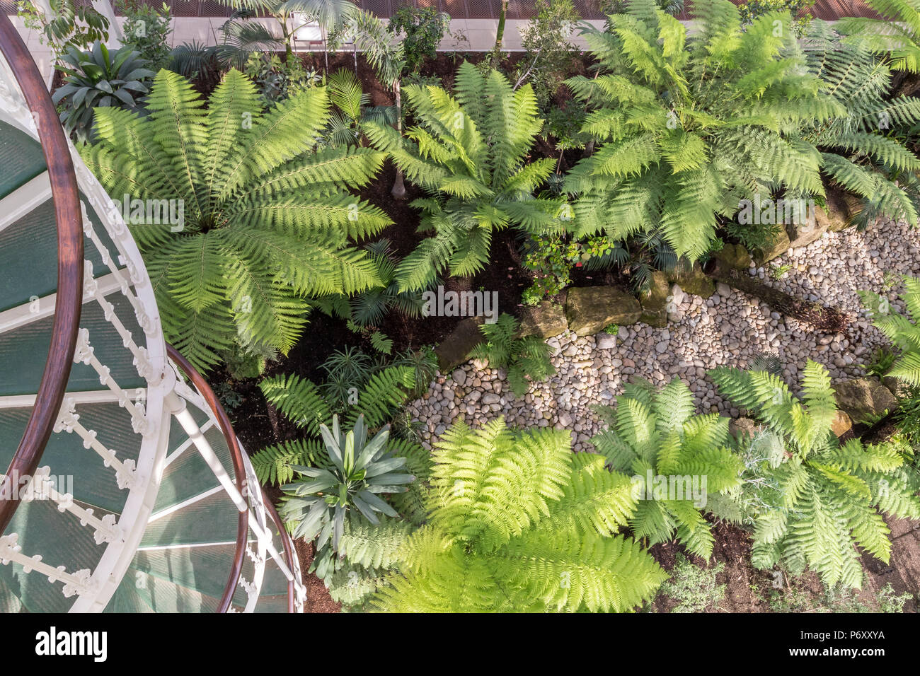 Scale a spirale presso la recentemente restaurata Tempperate House presso i Royal Botanic Gardens di Kew , Kew Gardens, Londra, Regno Unito Foto Stock