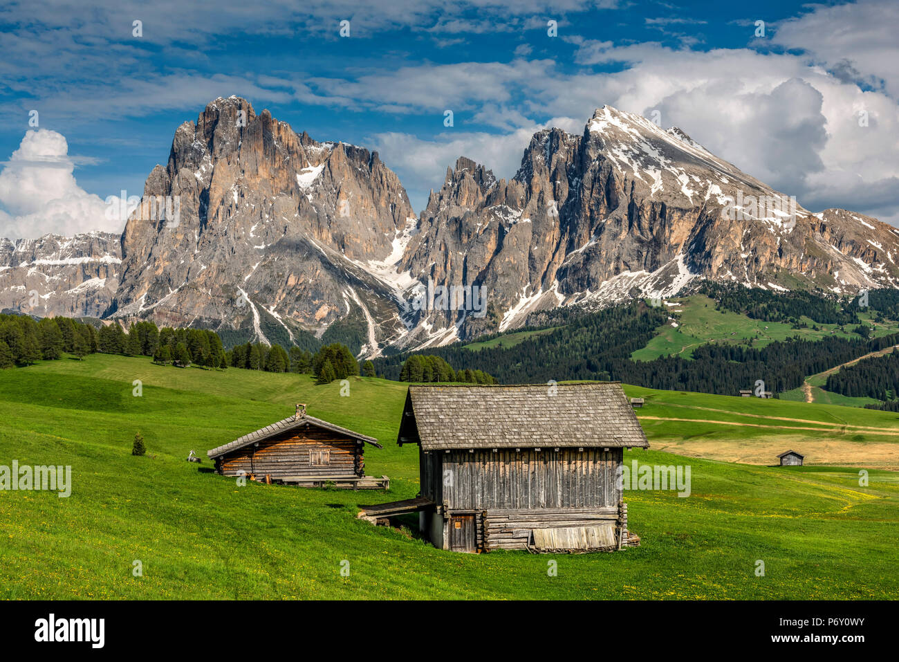 Alpe di Siusi - Alpe di Siusi con Sassolungo - Sassolungo gruppo montuoso in background, Trentino Alto Adige - Alto Adige, Italia Foto Stock