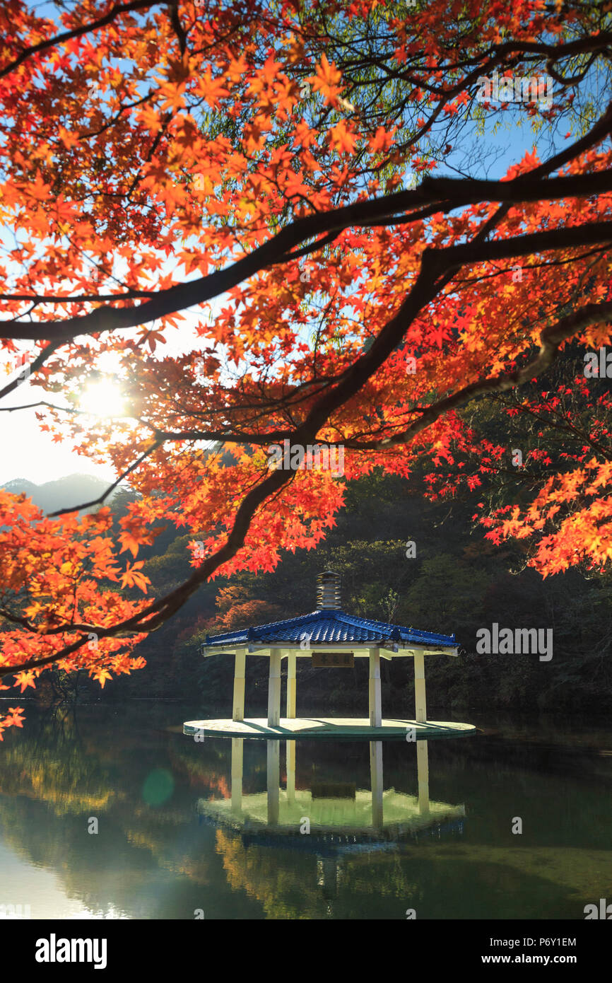 Corea del Sud, Jeolla, Naejangsan National Park, Naejangsan stagno e Wuhwajeong Pavillion Foto Stock
