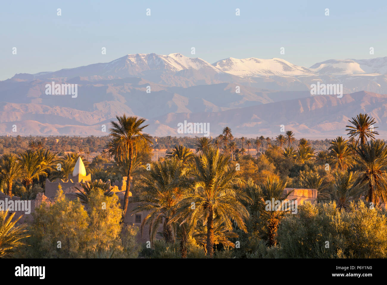 Vista da Palmery verso l'Atlante di sunrise, Skoura, Marocco, RF Foto Stock