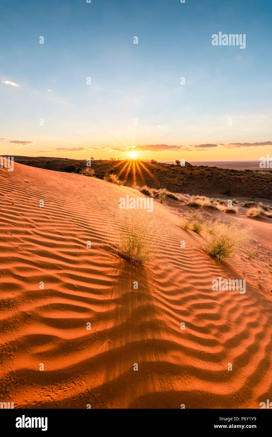 Namib-Naukluft National Park, Namibia, Africa. Increspature di sabbia su un petrified dune al tramonto. Foto Stock